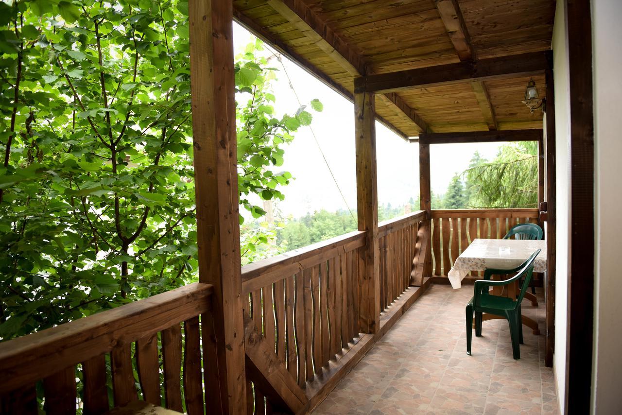 Casa Edy Hotell Colibiţa Eksteriør bilde